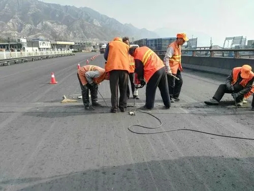 包河道路桥梁病害治理